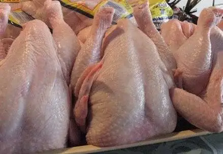  High Quality Frozen Grade A Halal Whole Chicken And