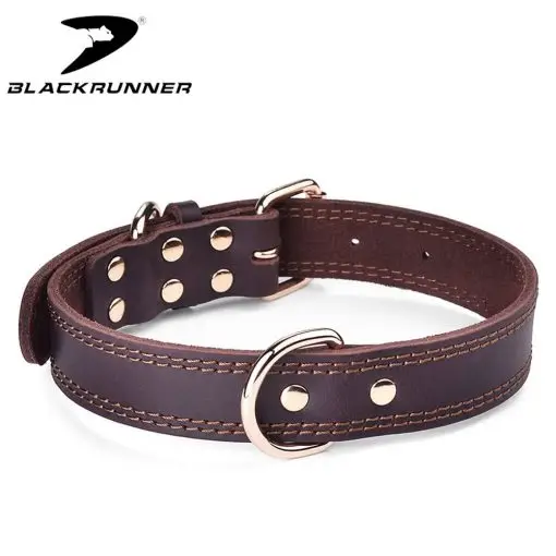 Elegant Leather Dog Collar