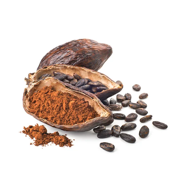  Какао-бобы готовые к экспорту высококачественные какао-бобы для гурманов от вьетнамской программы какао-трассы