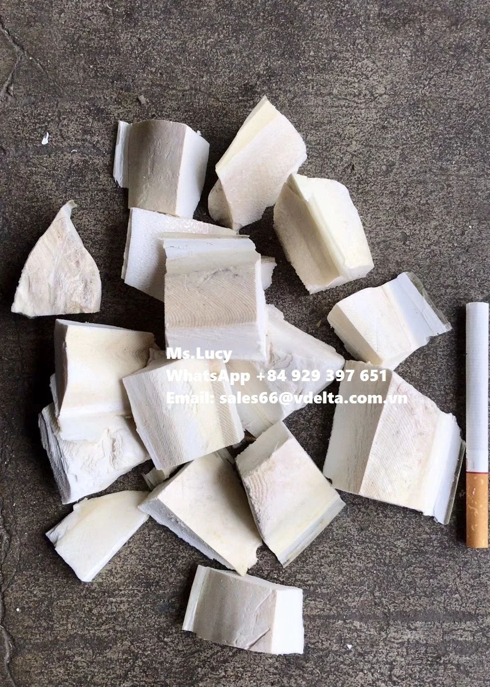 Wholesale Dried Cuttlefish Bone/ Natural Dried Sepia Powder/ Crushed Cuttlefish Bone Ms.Lucy +84 929 397 651