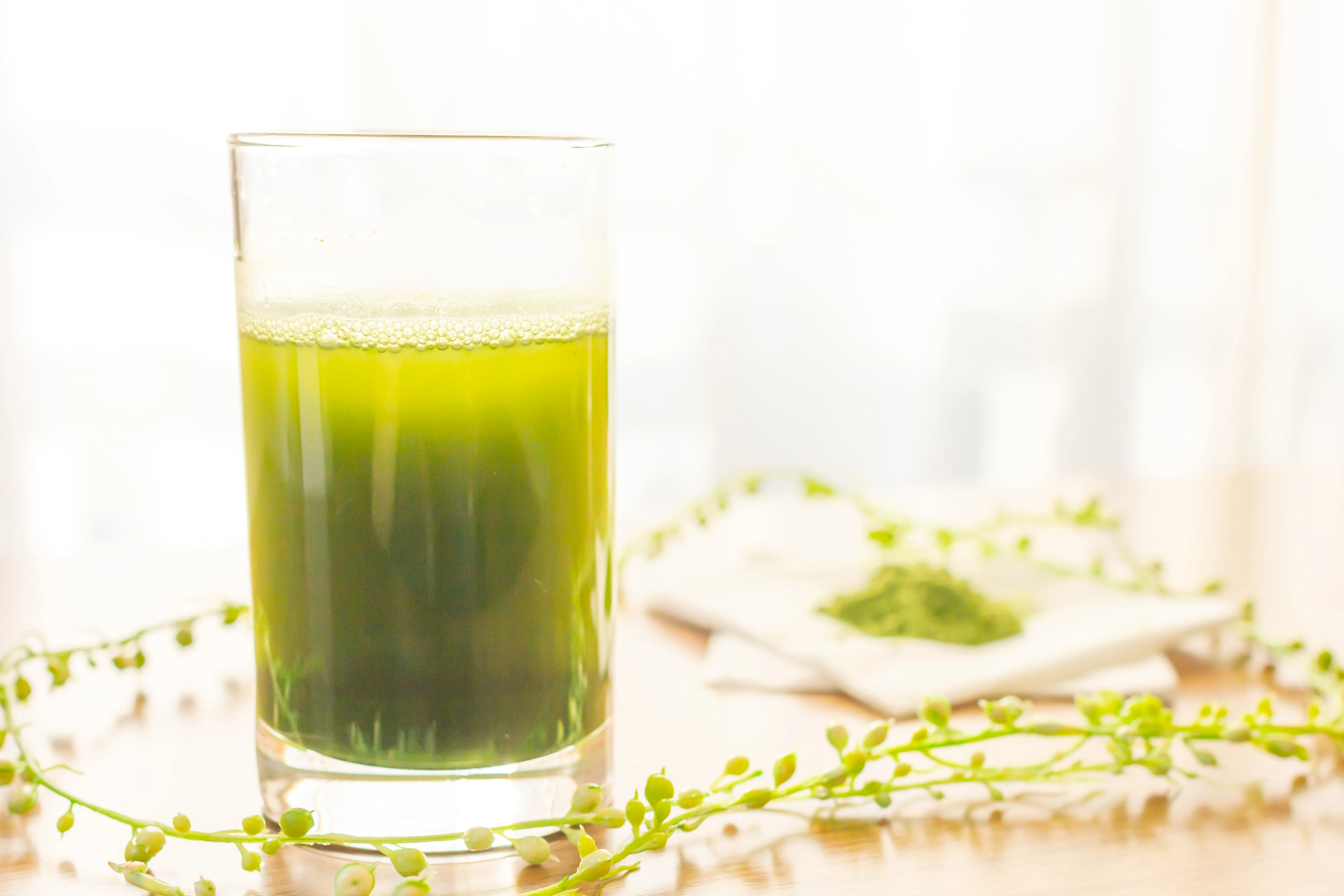 Organic barley grass extract powder barley grass juice made in japan