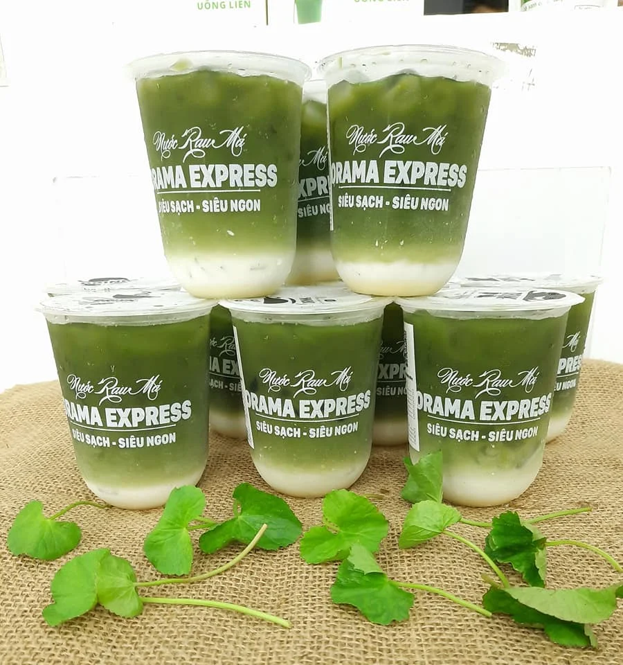 
High quality Centella asiatica powder instant healthy drinks 