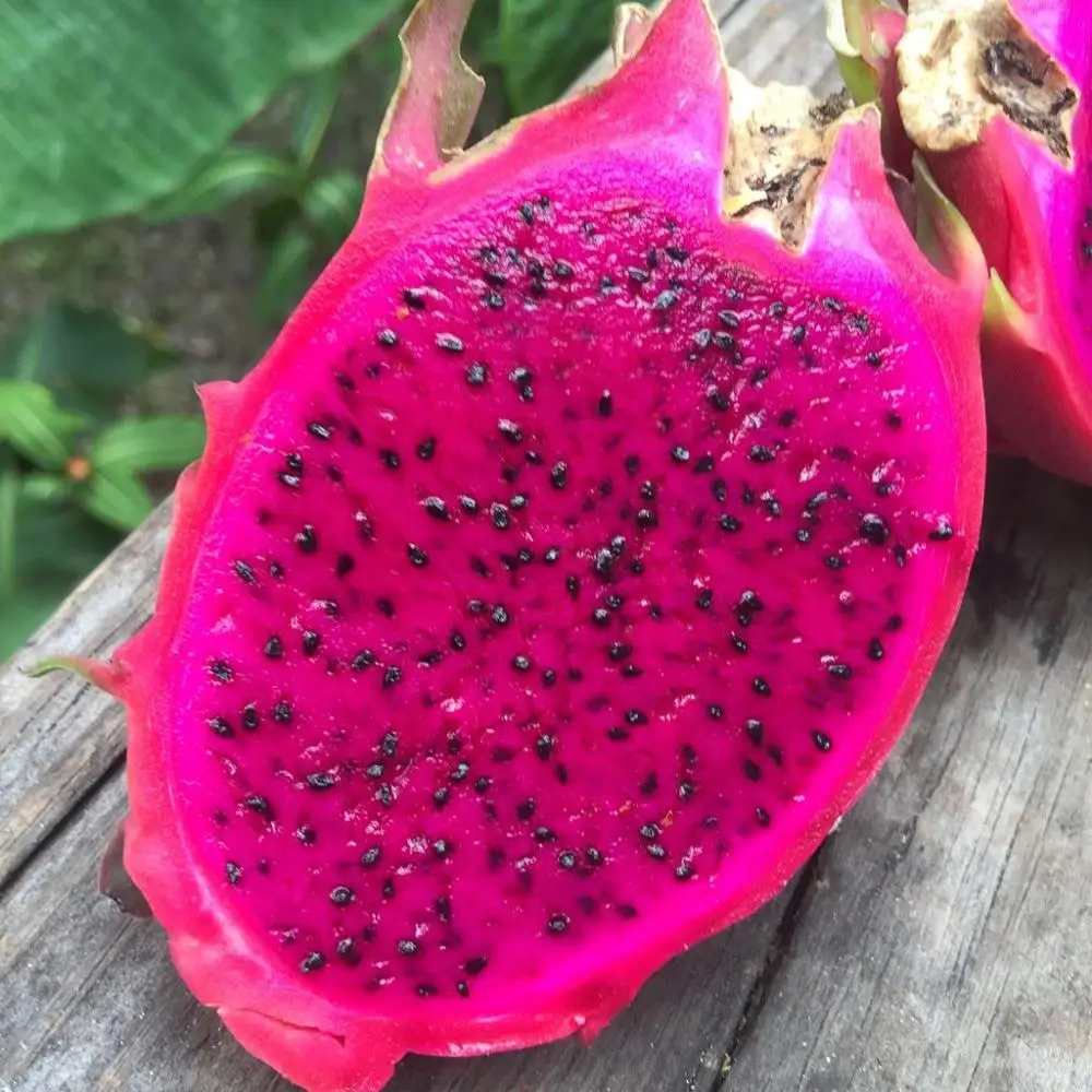 
FROZEN DRAGON FRUIT/PATAYA FOR SALES   competitive price  (62014126756)