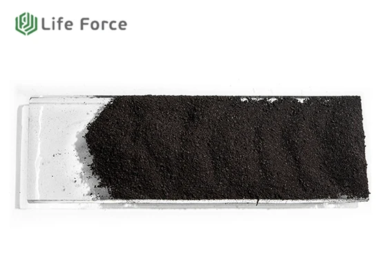 Humic Acid Powder Humic Acid Fertilizer Leonardite Class A Life Force SL 105/1000 Natural Product From Siberia Agriculture Grade