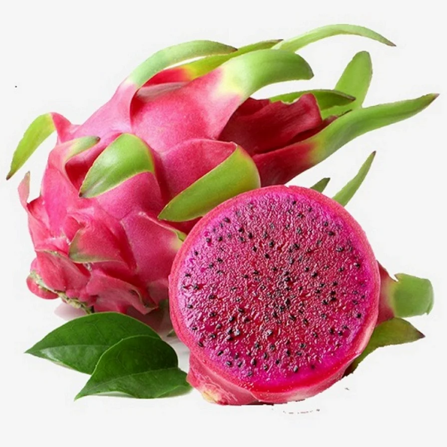 
VIETNAMESE 100% NATURAL RED AND WHITE DRAGON FRUITS 