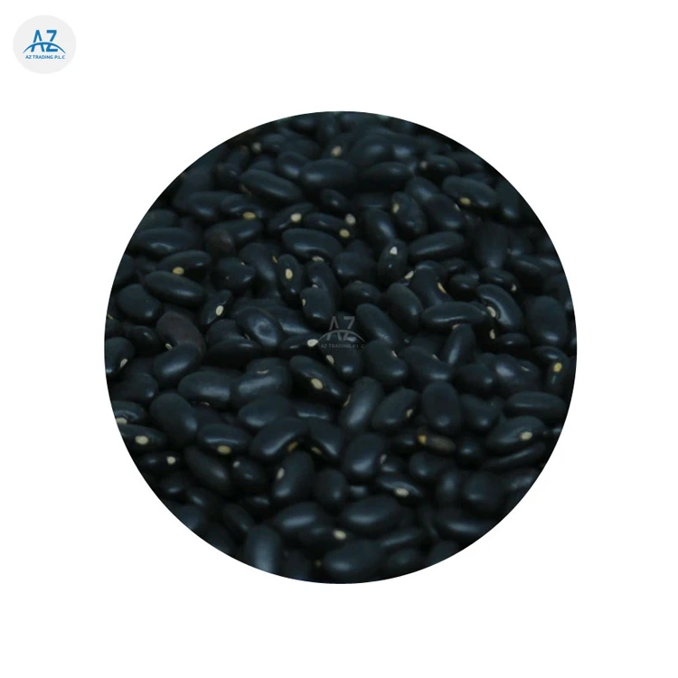Huge Demand on New Crop Ethiopian Machine Cleaned Black Kidney Beans