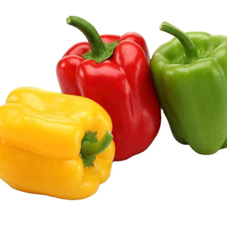 Quality capsicum color sweet bell pepper/yellow/green/red