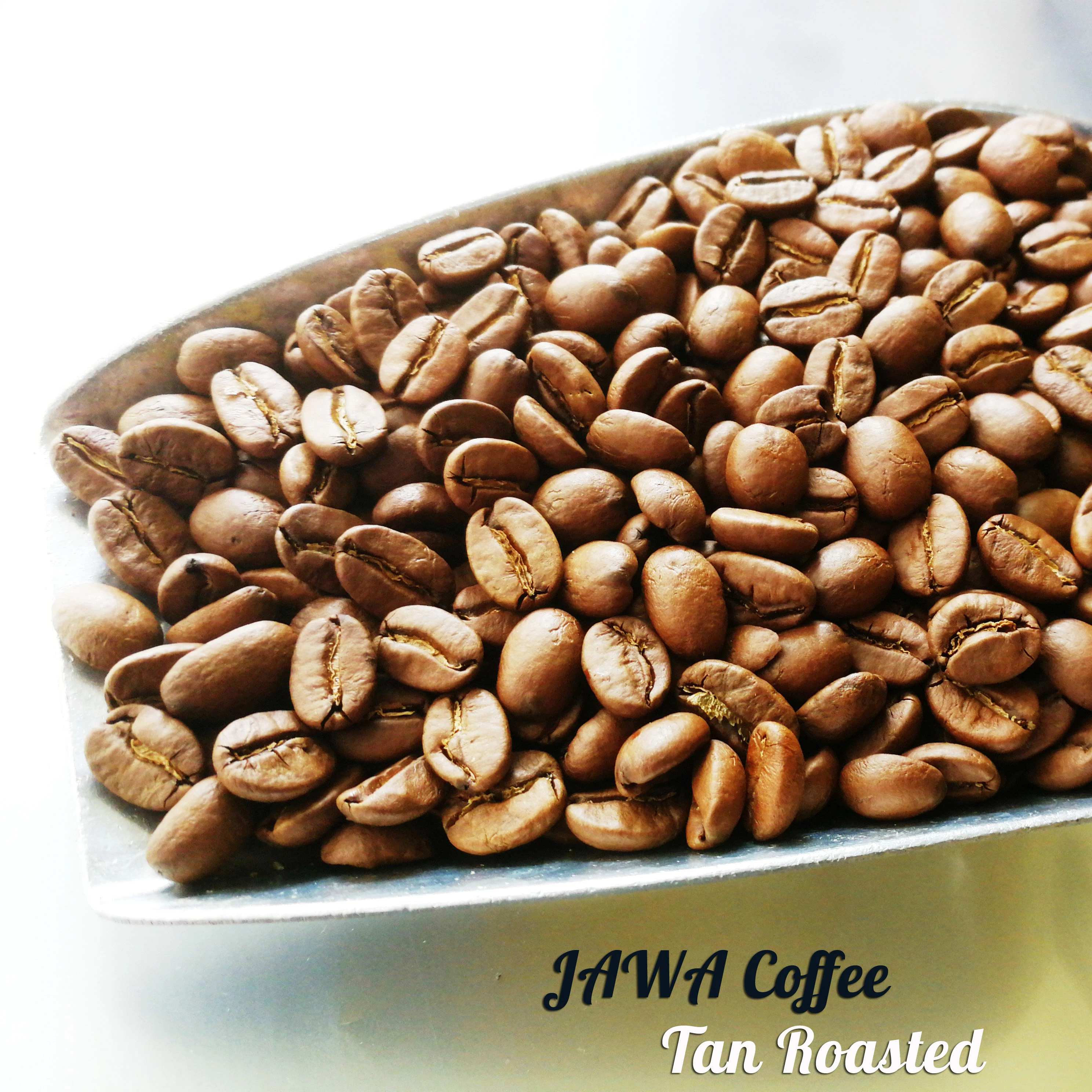 Premium JAVA Coffee Beans (Tan-Roasted Level) 1,000 Gram / Bag - Product of Thailand