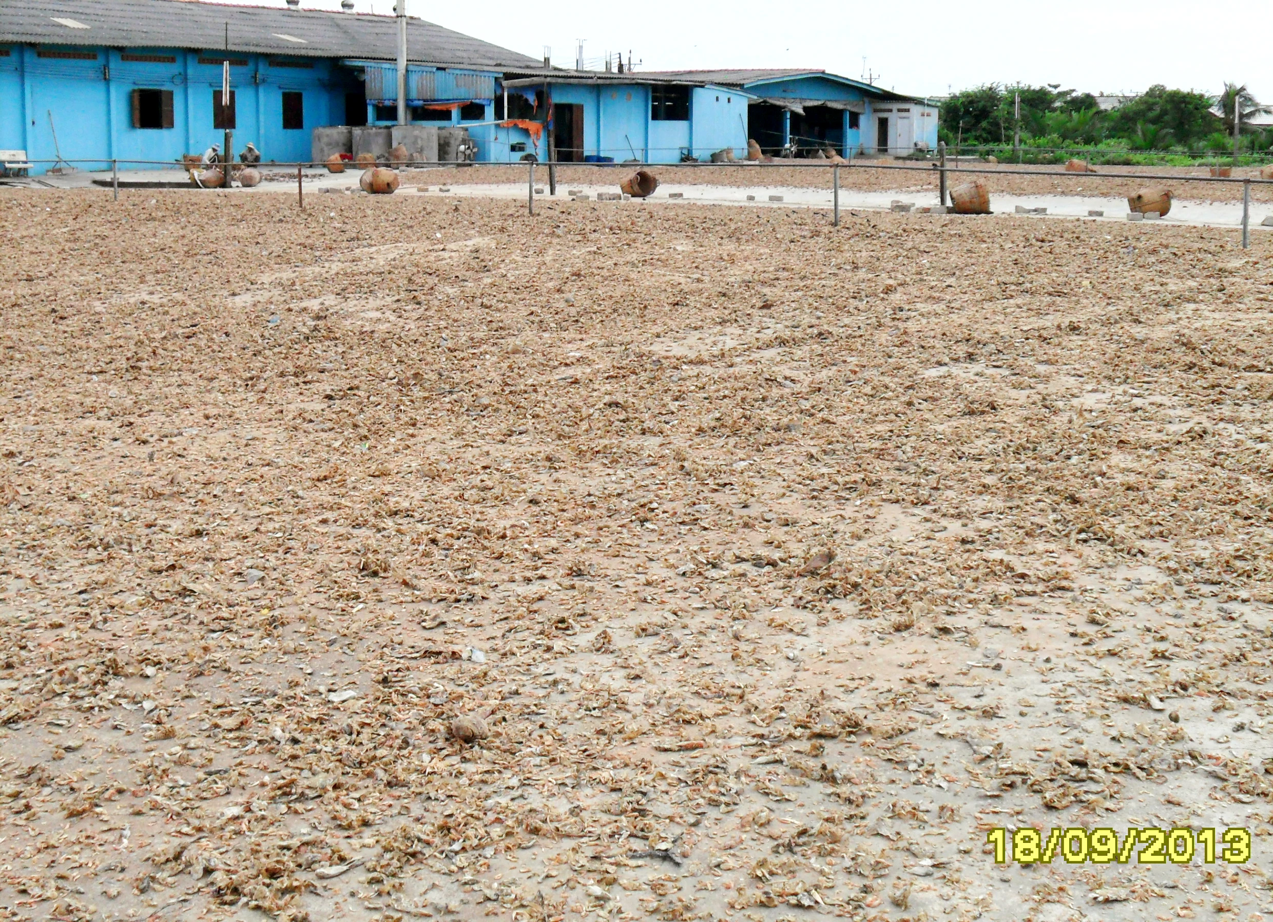 Supplier Fish Meal with high Quality for exporting 2021