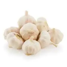 Fresh natural white garlic/ 2022 Harvest/ Top quality garlic/