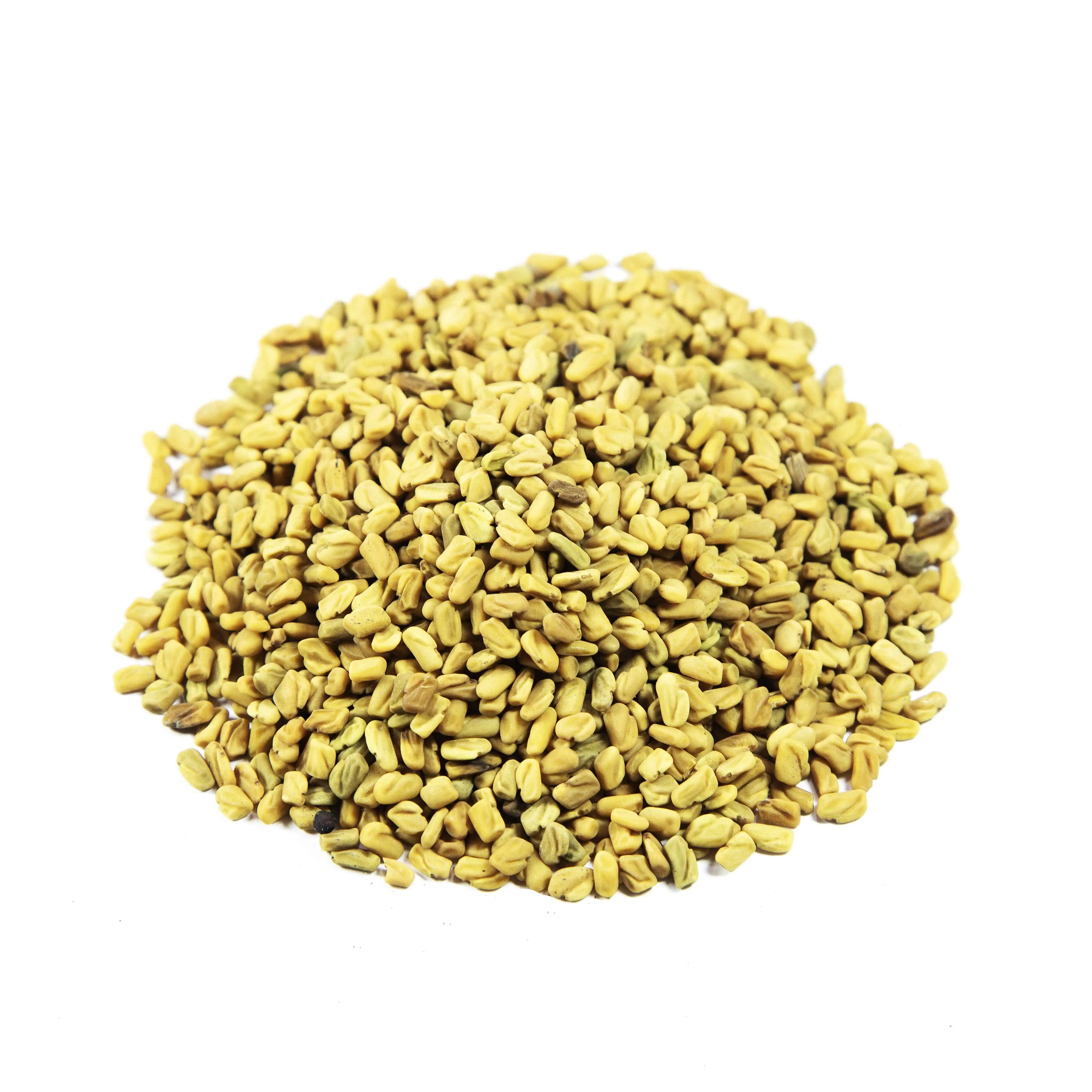 
Whole Fenugreek Seed 