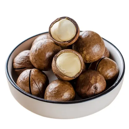 
Top Grade Macadamia Nuts with Shell at Reliable Price 