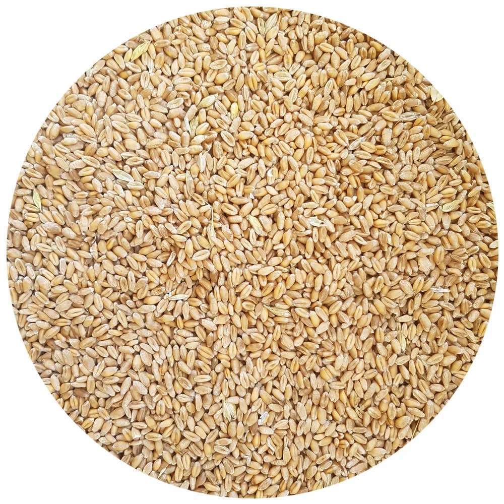 
Milling Wheat in bulk 