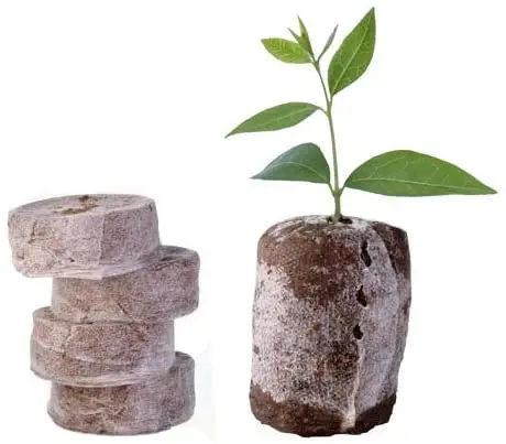 Экологичный cocopeat coir диск/кокосовые торфяные гранулы/ (Lee Tran: 0084987731263)