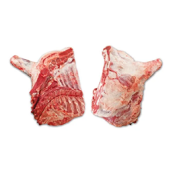 
South African Halal Frozen Beef forequarter for sale 