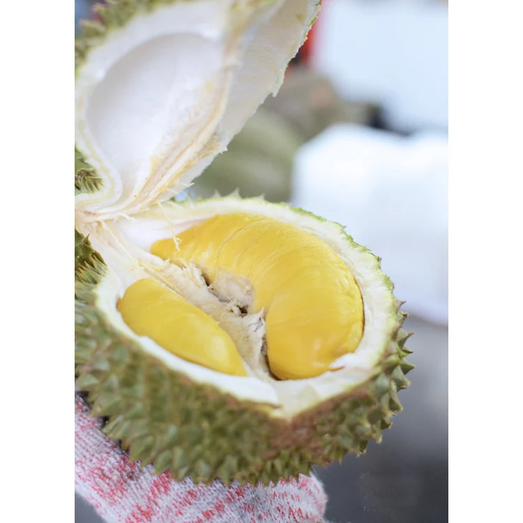 Whole Piece Frozen Musang King Durian Fruits Stored in Fridge Best Durian For Ice Cream Making Fresh and Sweet