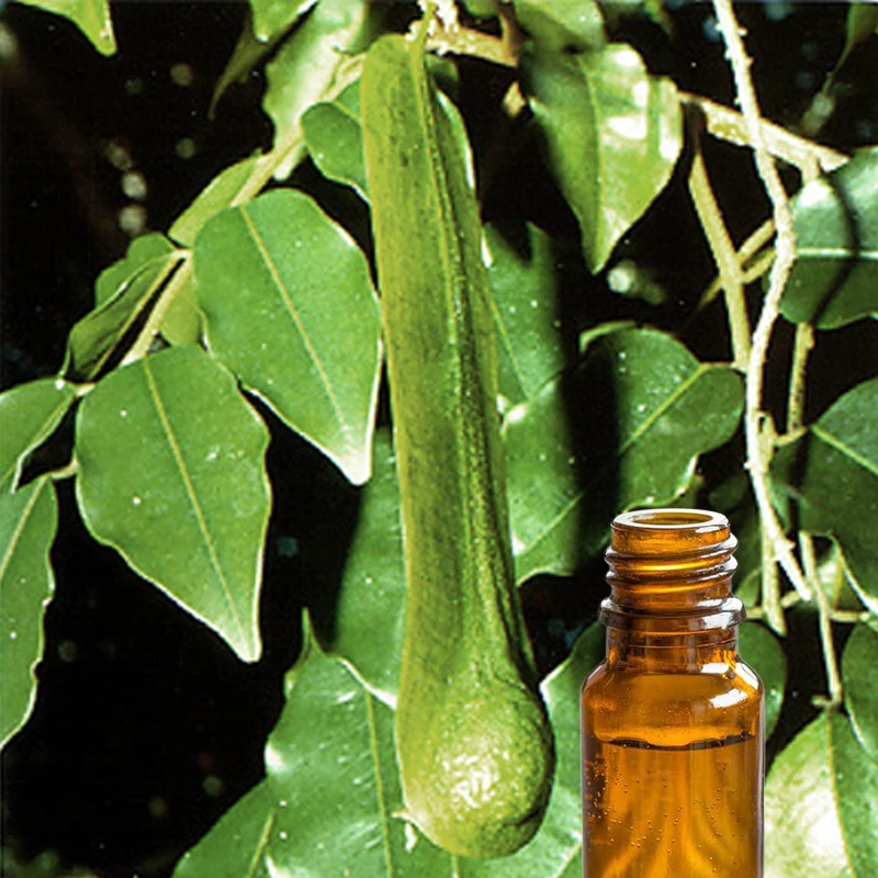 Pure & Natural Balsam Peru Oil Manufacturer Peru Balsam Organic Essential Oil With Skin and Body care Property