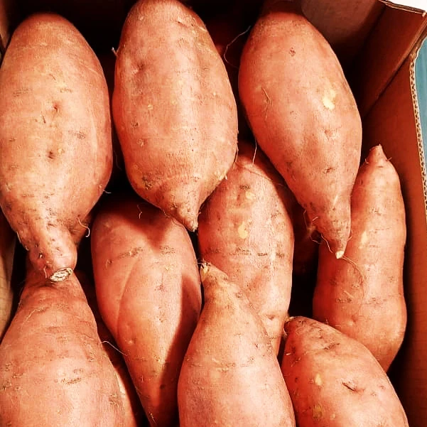 Свежий сладкий картофель из египта beauview новый урожай 2021/2022 (Непревзойденная цена)