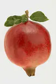 POMEGRANATE-- At a cheaper fob price 2021