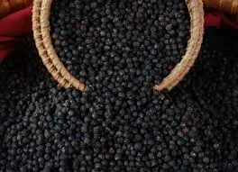 Вьетнамский перец для продажи в зимний сезон-Большая скидка