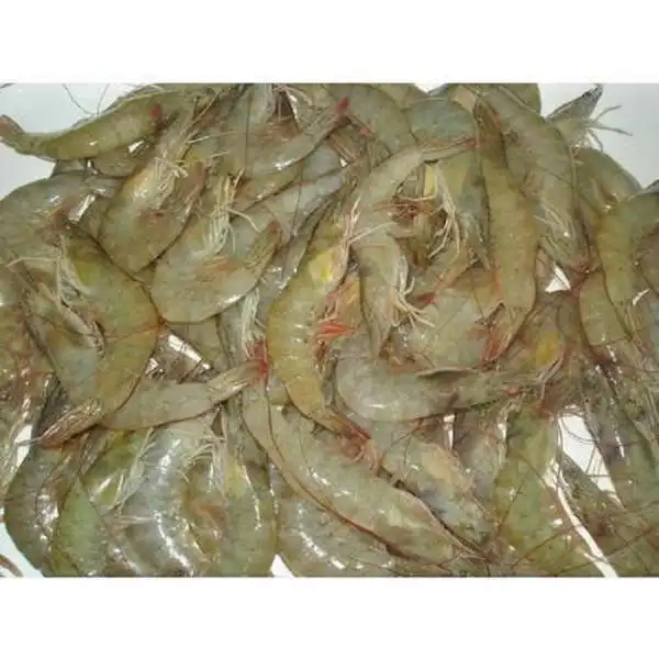 Замороженные Свежие Креветки/морепродукты/черные тигровые креветки