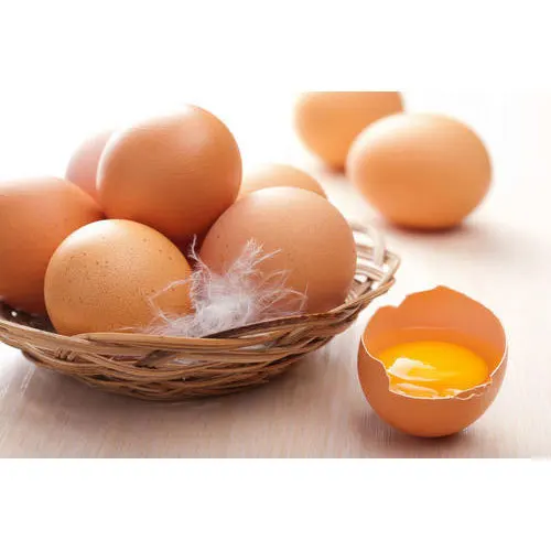 FRESH CHICKEN EGGS, BEST PRICES