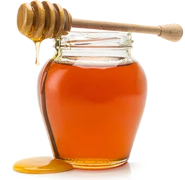 BERRy ORGANIC PURE HONEY 0.5KG BOTTLE