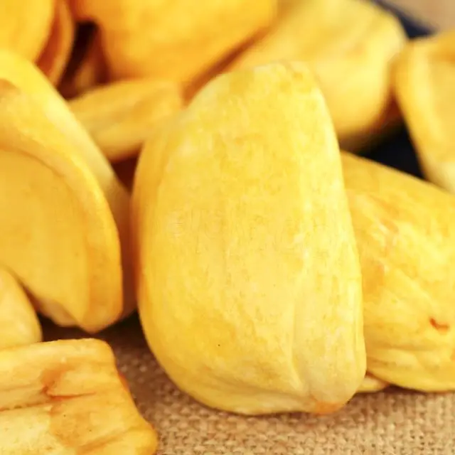 Thailand Canned Jackfruit in Brine