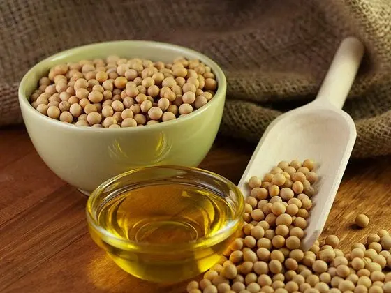 REFINED HYDRONATED SOYA BEANS OIL
