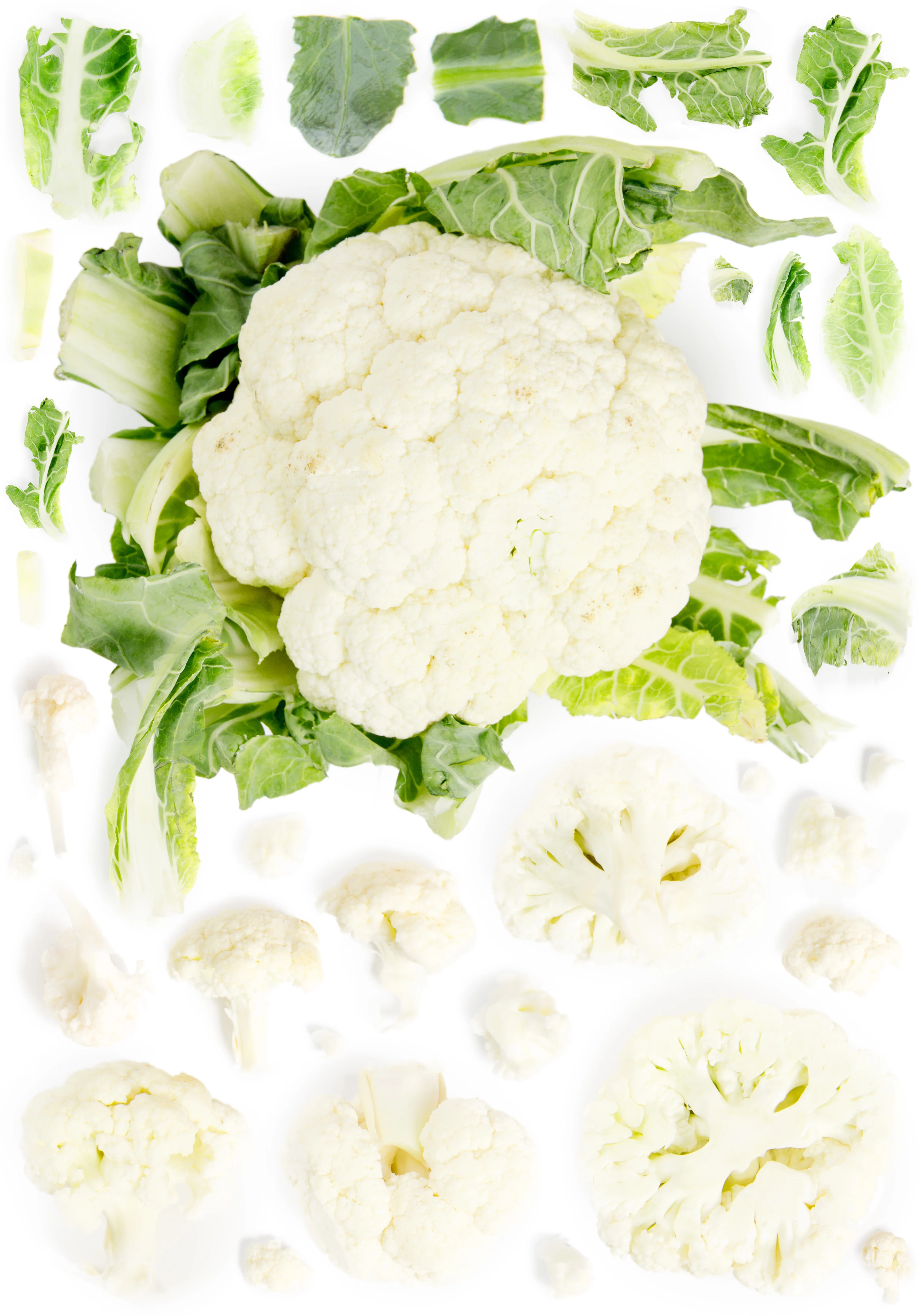 Fresh Cauliflower Common Wholesale Other Fresh Vegetables High Quality Fresh Vegetable Cauliflower