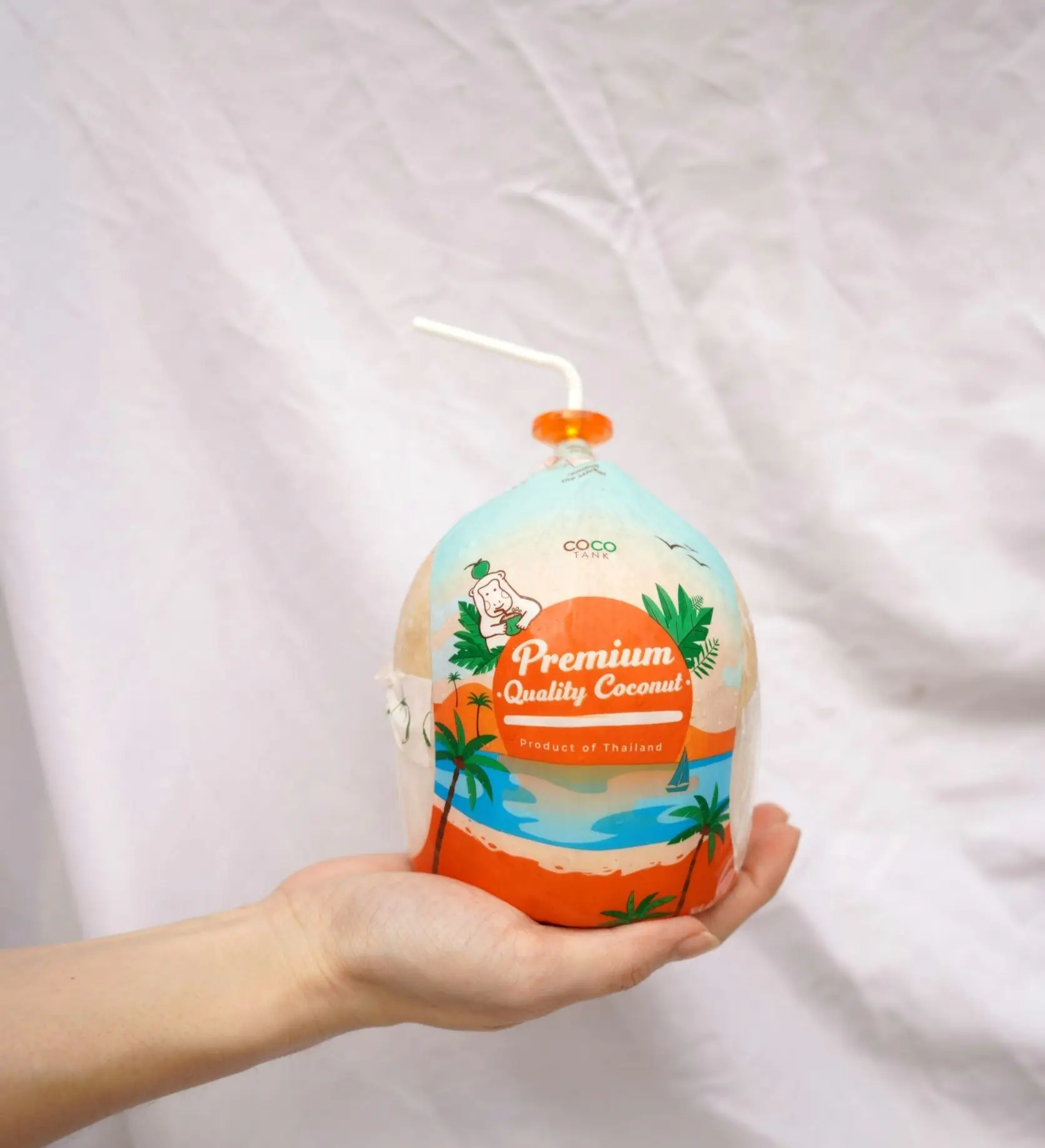 (Easy open) Premium Fresh Coconut From Thailand