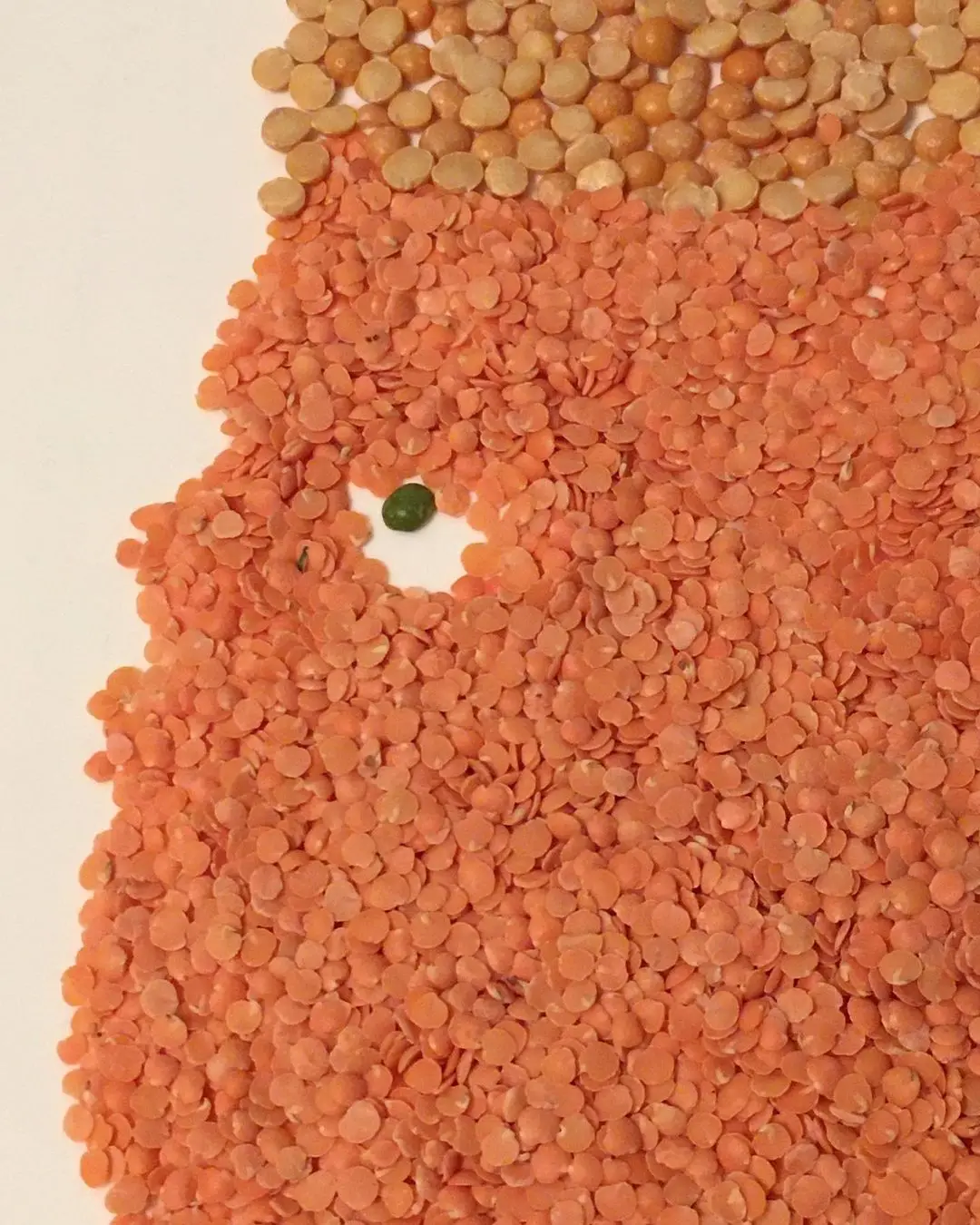 Red Lentils/Grains/Whole and Split Lentils!
