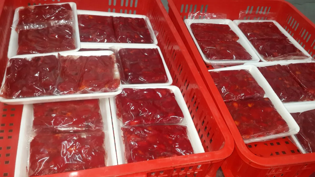 Frozen Gac Fruit puree from Vietnam , Contact +84984418844 whatsapp