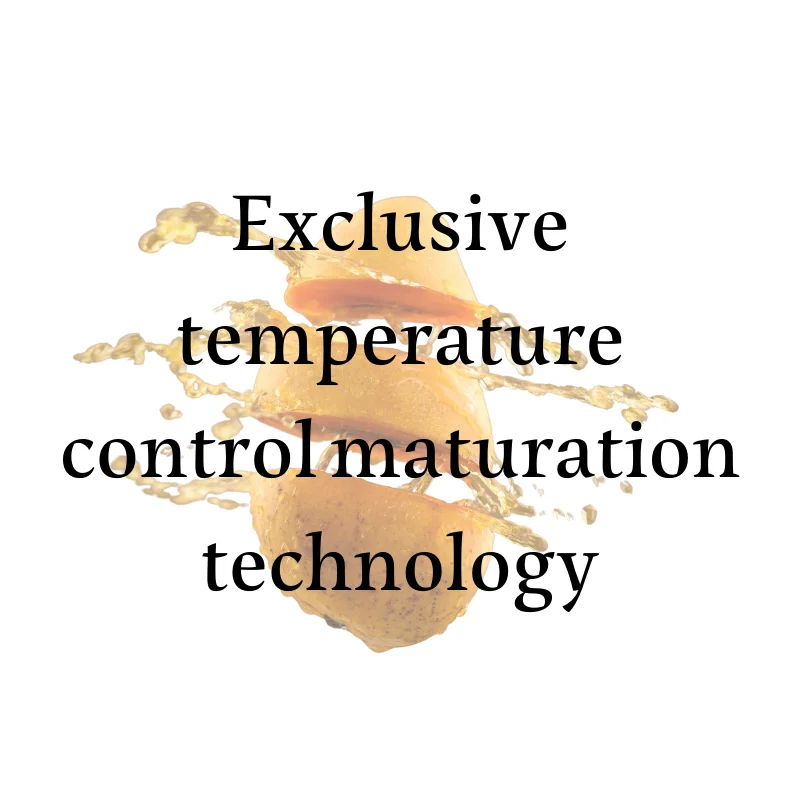 Вкусные тропические фрукты сушеные манго для людей с высоким холестерином