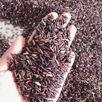 Очень полезный тёмно-фиолетовый 100% натуральный рисовый рис из Таиланда