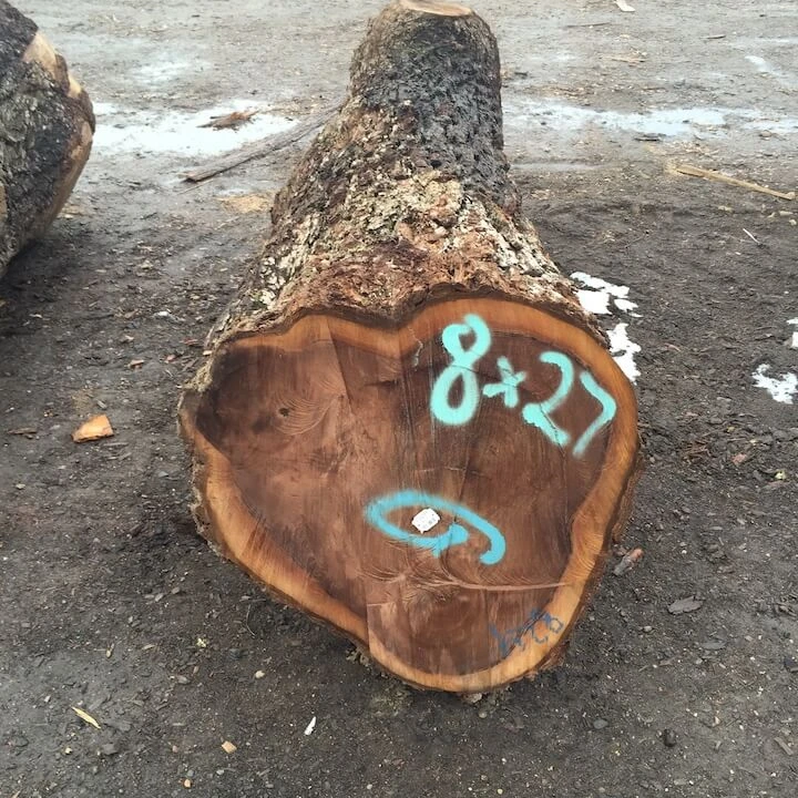 
 Американские бревна орехового дерева для шпона  