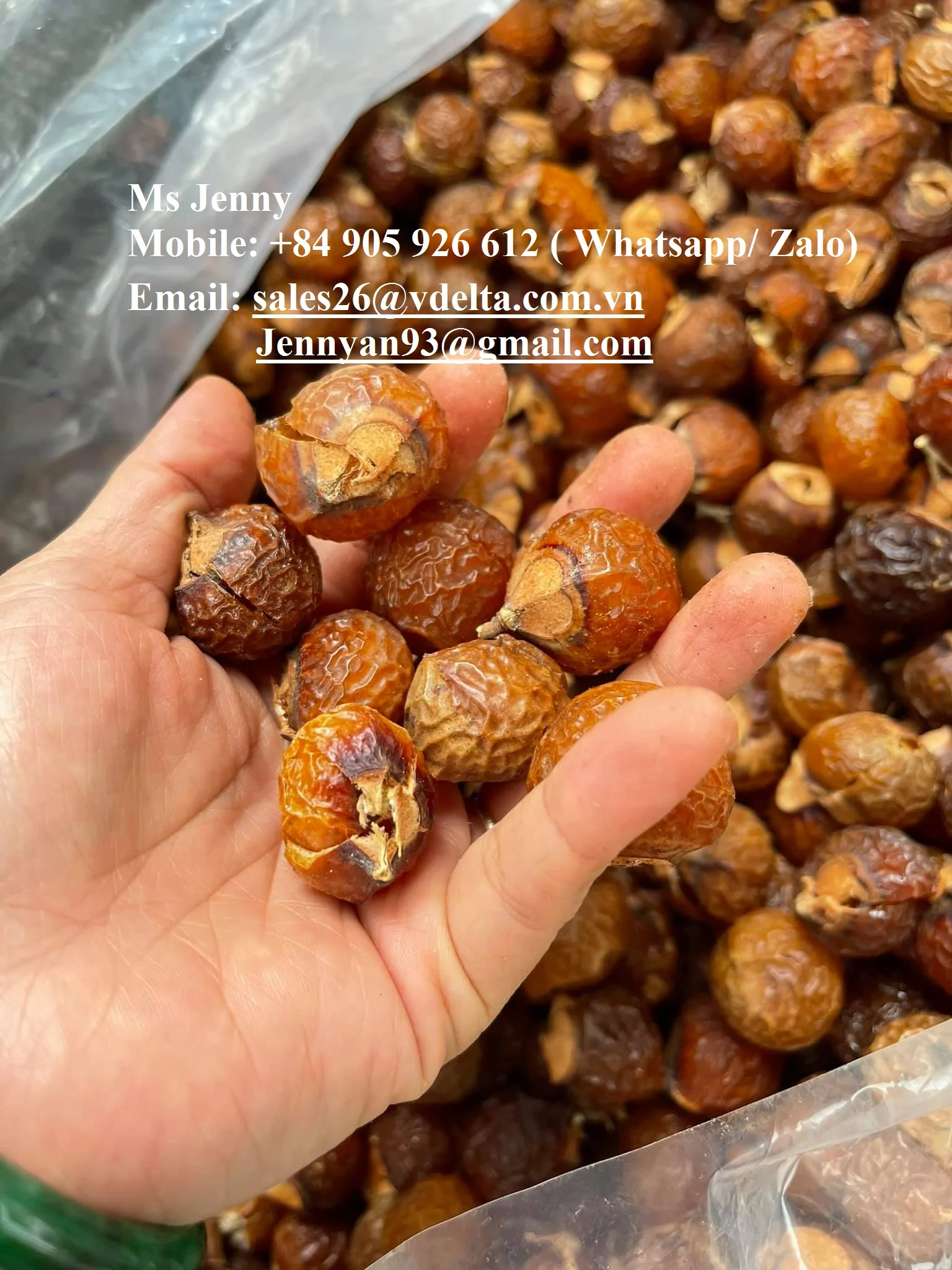  100% натуральная сушеная гайка для мытья посуды