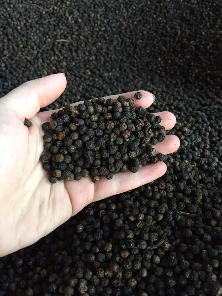 Вьетнамский сушеный черный перец ASTA 500GL-550GL Прямая поставка с завода Schwarzer lada hitam Pfeffer Высококачественная продукция по лучшим ценам