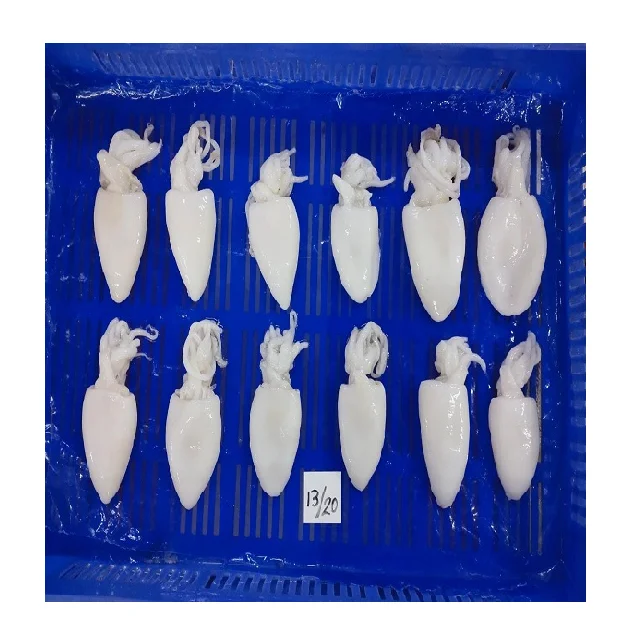 Individual frozen Cuttlefish whole cleaned from India, Cuttlefish frozen