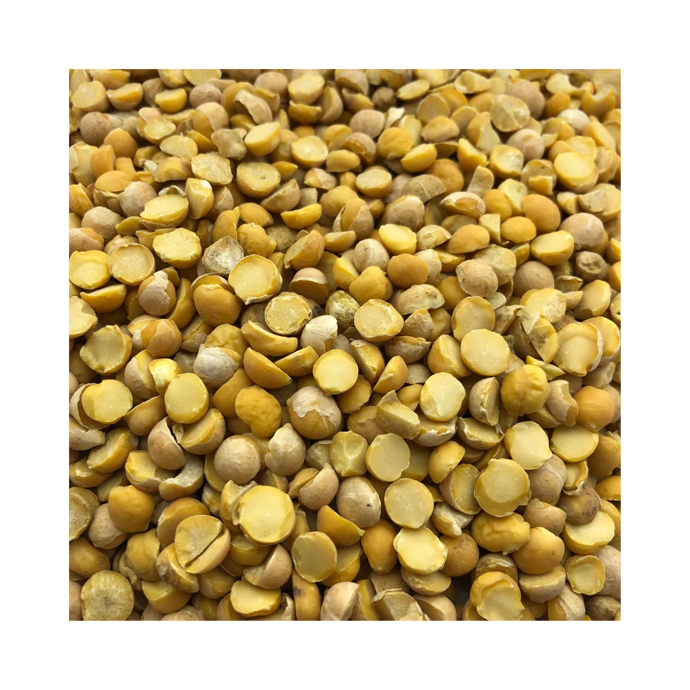 Quality split chickpeas  25/35 kg bags or in bulk, product of Russia