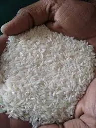 Rice Grain
