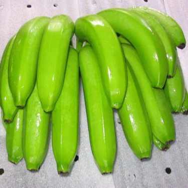 Hot Sale - High Quality Fresh Cavendish Banana with CE, EU Certificate at Cheap Price - Natural Fresh Banana for EU, USA