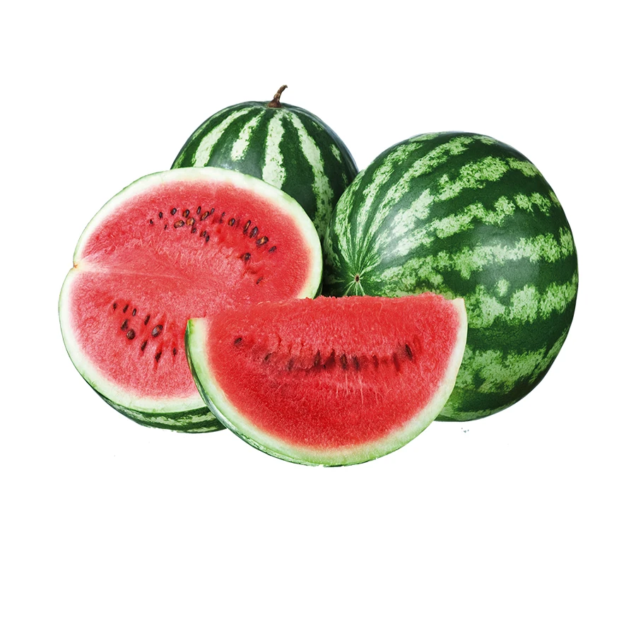 
High Quality Fresh Water Melon For Sale 