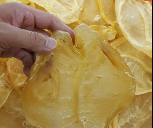 HOT SALE FISH MAW / DRY CROAKER FISH MAW FOR SALE