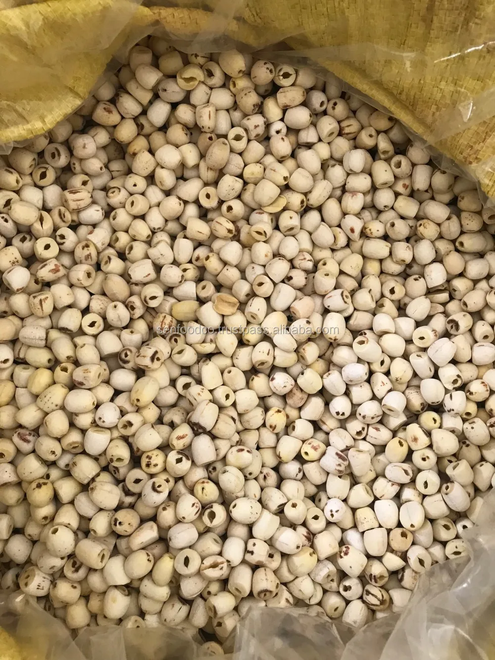 Семена черного/белого лотоса из Вьетнама whatsapp + 84934449569