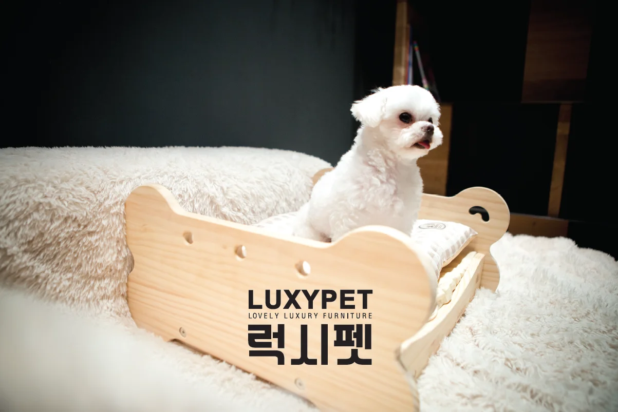 Korean cat tree - Hanasan