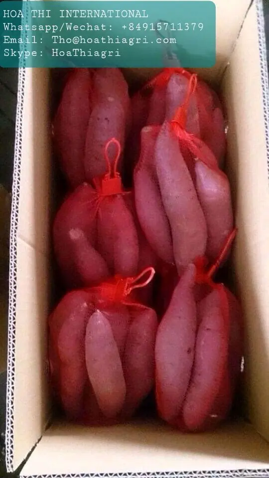 Carton Boxes Common Cultivation Type 100% Natural 170-450kg Sweet Potato Purple Flesh Vietnam With Export Quality