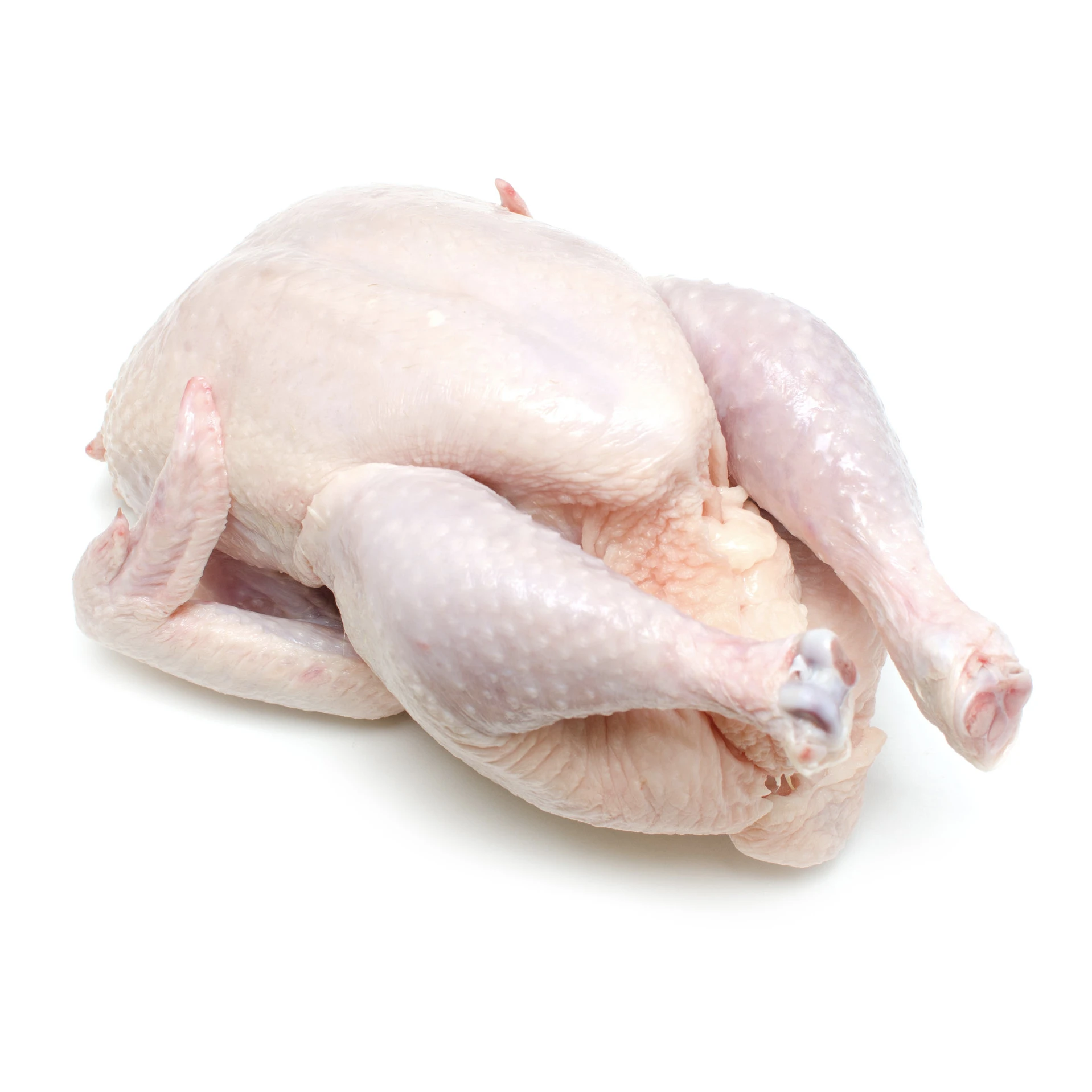 Premium Supplier ! Halal Frozen Whole Chicken Halal Chicken Processed Meat
