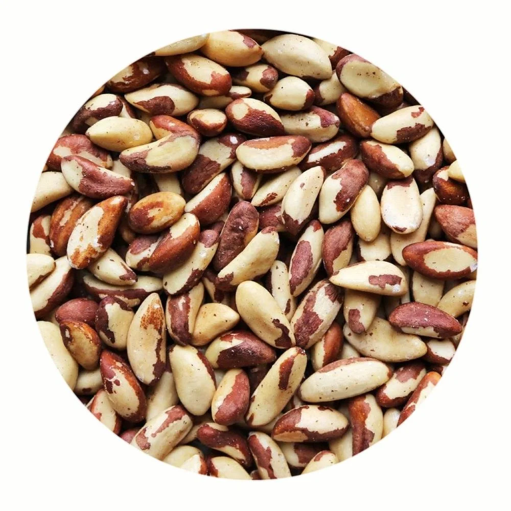 Organic Brazil Nut Kernels