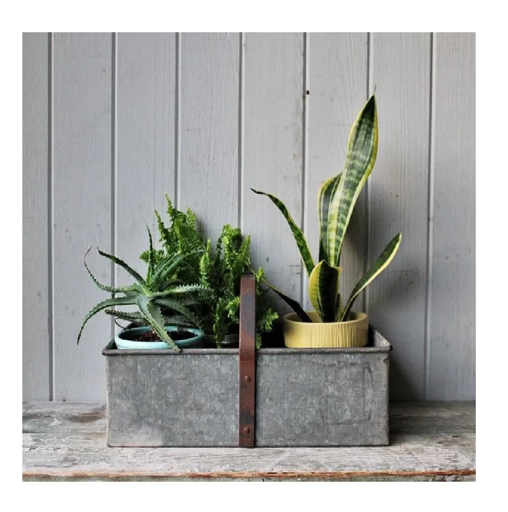 Оцинкованный инструмент для хранения 2 уровня